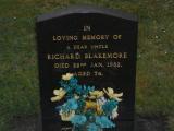 image of grave number 62384